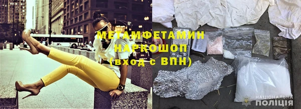 шишки Новокубанск
